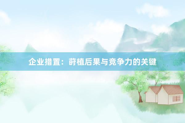 企业措置：莳植后果与竞争力的关键